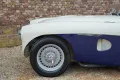 Austin Healey 100/4 