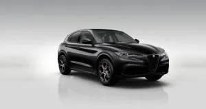 Alfa Romeo Stelvio 2.2 Veloce, AHK, Schiebedach