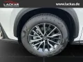 Lexus NX 450h + Executive Interieur +Tecno Paket PANO