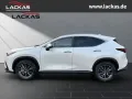 Lexus NX 450h + Executive Interieur +Tecno Paket PANO