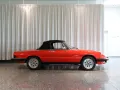 Alfa Romeo Spider 1.6 H-Kennzeichen