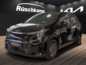 Kia Picanto Vision 1.0 Navi Klimaauto SHZ RückKam