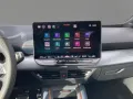 Cupra Born Edition Dynamic 19 NAVI SENNHEISER SHZ RFK
