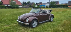 Volkswagen Käfer