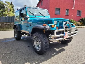 Jeep Wrangler 1HAND ROSTFREI WENIG KILOMETER UMBAU H