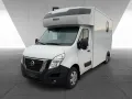 Nissan Interstar Stablehopper Stallion Light SafetyPack