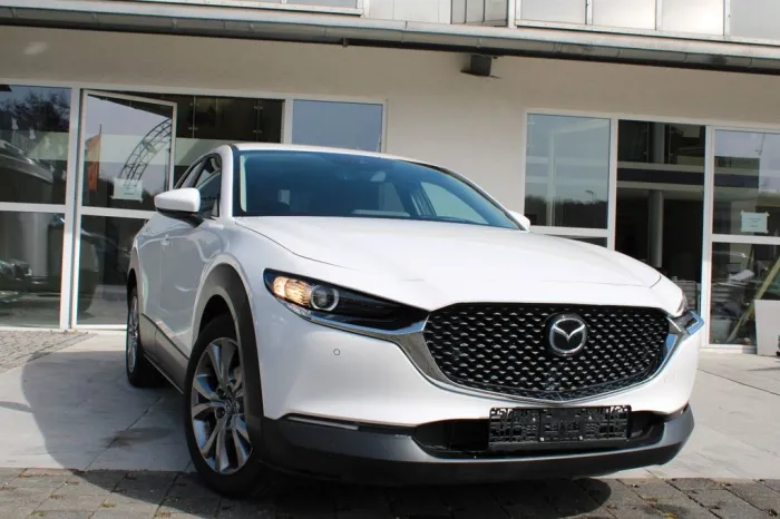 Mazda CX-30 Basis 2WD