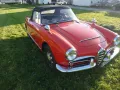 Alfa Romeo Giulia Spider*40 Jahre in einer Hand*Orig.Zust.*
