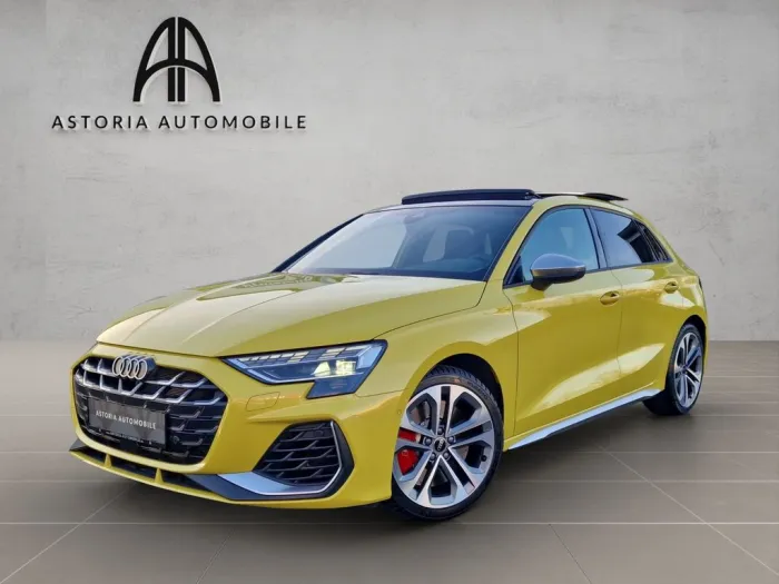 Audi S3 Sportback Matrix Pano Sonos ACC Parkassistent