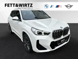 BMW X1 sDrive18i M Sport-AHK-Driving&ParkingAss.