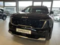 Kia Sorento 193 PS Platinum AWD SCHIEBEDACH PREMIUM 
