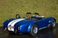 Cobra Phoenix Cobra, Leder, Sidepipes, 427cui,wenig KM