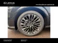 Lexus RX 350 h E-Four Luxury Line/Panoramadach