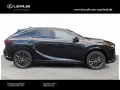 Lexus RX 350 h E-Four Luxury Line/Panoramadach