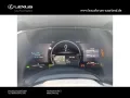Lexus RX 350 h E-Four Luxury Line/Panoramadach