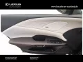 Lexus RX 350 h E-Four Luxury Line/Panoramadach