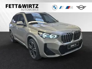 BMW X1 sDrive20i M Sport AHK-DrivingAss.+-Sitzheiz.