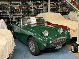 Austin Healey Sprite Frog eye Frosch