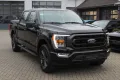 Ford F-150 XLT Sport 5.0 V8, 360° Kamera, ACC, LED