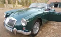 MGA