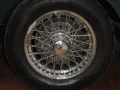 MGA
