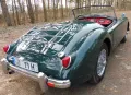 MGA