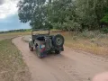 Jeep Willys Cj3B