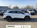 Mitsubishi Grandis 1,3 Diamant Plus Automatik **Sitzheizung