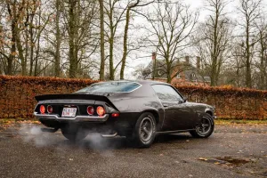 Chevrolet Camaro RS/SS 396 Unrestored Survivor