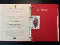 Ferrari Testarossa Classiche-certificat