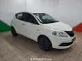 Other Lancia Ypsilon Ypsilon 1.0 FireFly 5 porte S&S H