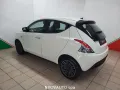 Other Lancia Ypsilon Ypsilon 1.0 FireFly 5 porte S&S H