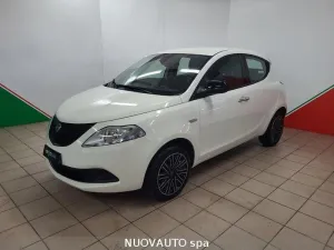 Other Lancia Ypsilon Ypsilon 1.0 FireFly 5 porte S&S H