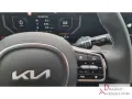 Kia Sorento Platinum 4WD 2.2D AWD mit Premium, Glasd