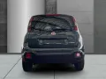 Fiat Pandina Cross Mild Hybrid DAB Carplay Verkehrsze