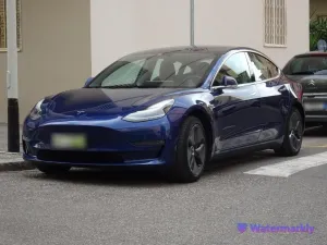 Tesla Model 3 Long Range Dual Motor AWD -IVA ESP