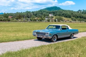 Buick Skylark Cabrio 4.9l V8 Cabrio / Roadster