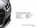 Audi RS 6 Avant perf. *Laser*Assistenz*Standhzg.*