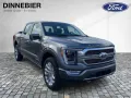 Ford F-150 Limited 3.5 *LaunchEdition*AHK*Pano*360*