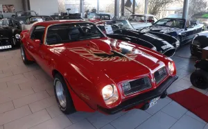 Pontiac Trans Am-garantiert echt und auch gnadenlos gut!