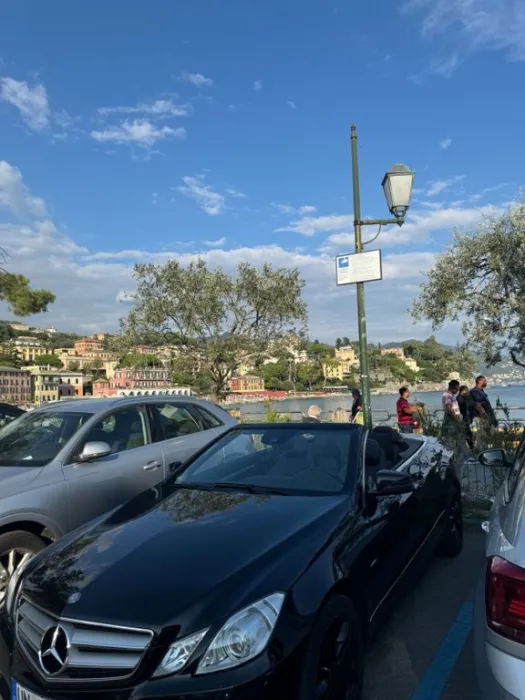 Mercedes-Benz E 250 Cabriolet E 250 BlueEFF. AVANTGARDE AV...