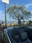Mercedes-Benz E 250 Cabriolet E 250 BlueEFF. AVANTGARDE AV...