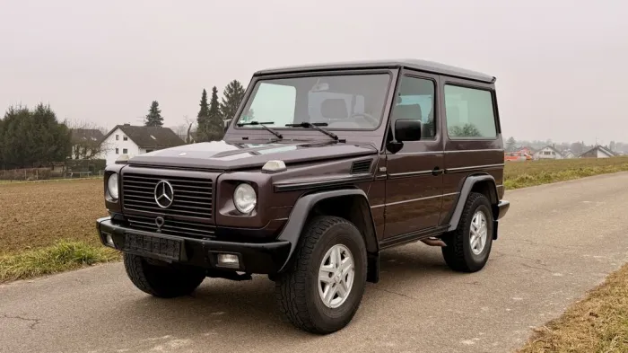 Mercedes-Benz G 300 GE*Standheiz*Sammler*Schalter*Tüv+Serv.Neu