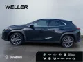 Lexus UX 250h F SPORT Design *Bi-LED*ACC*RCam*SHZ*PDC*