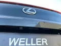 Lexus UX 250h F SPORT Design *Bi-LED*ACC*RCam*SHZ*PDC*