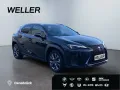 Lexus UX 250h F SPORT Design *Bi-LED*ACC*RCam*SHZ*PDC*