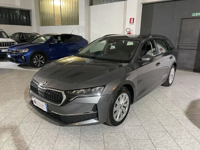 Other Skoda Octavia 2.0 TDI 150 CV DSG Wagon Selection