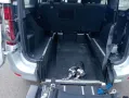Dacia Logan pianale ribassato trasporto disabili