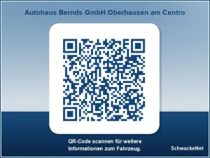Renault Trafic Spaceclass Blue dCi 170 EDC AUTOMATIK