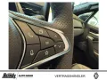 Renault Symbioz Mild Hybrid 140 EDC NAVI SHZ GJR R-KAM